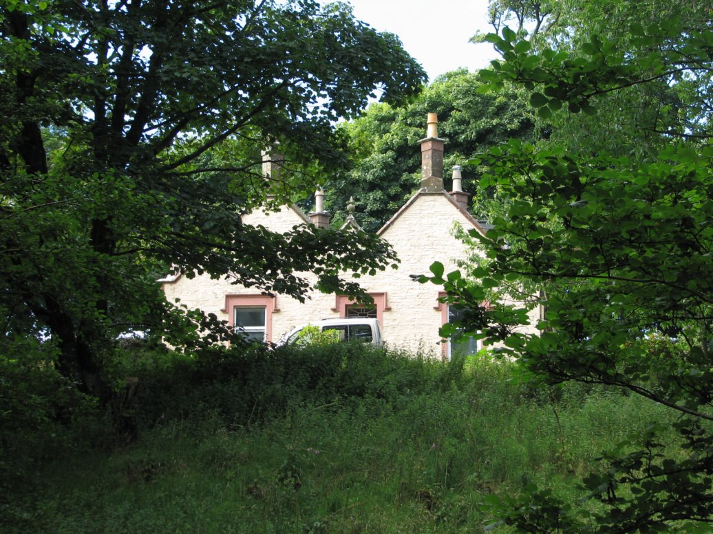 The interesting outline of the house seen through the trees on the bank