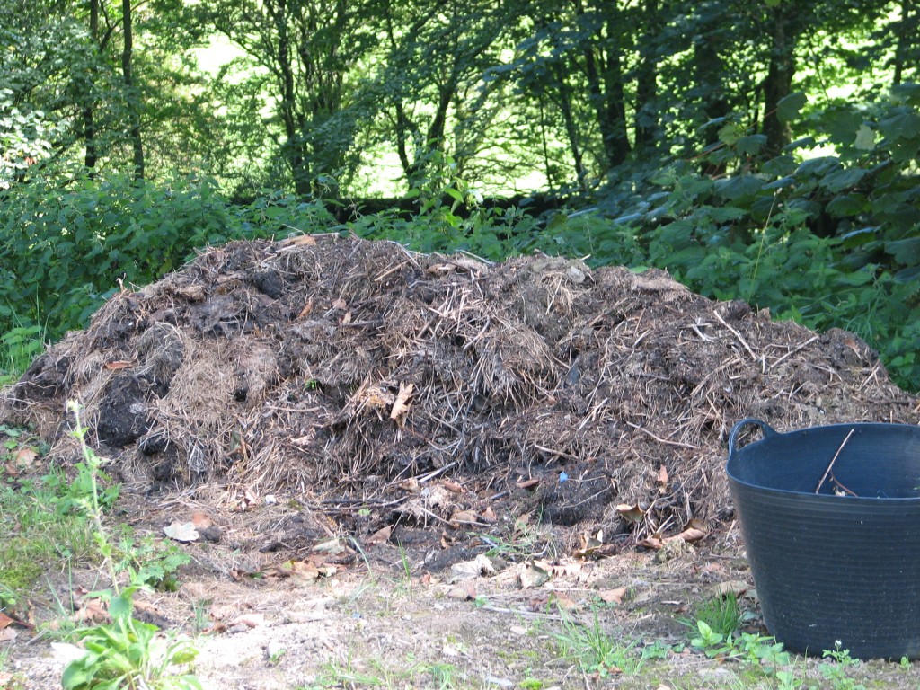 Compost has been another theme of the month - this is the compost heap we started earlier in the year which we recently turned and added more browns to