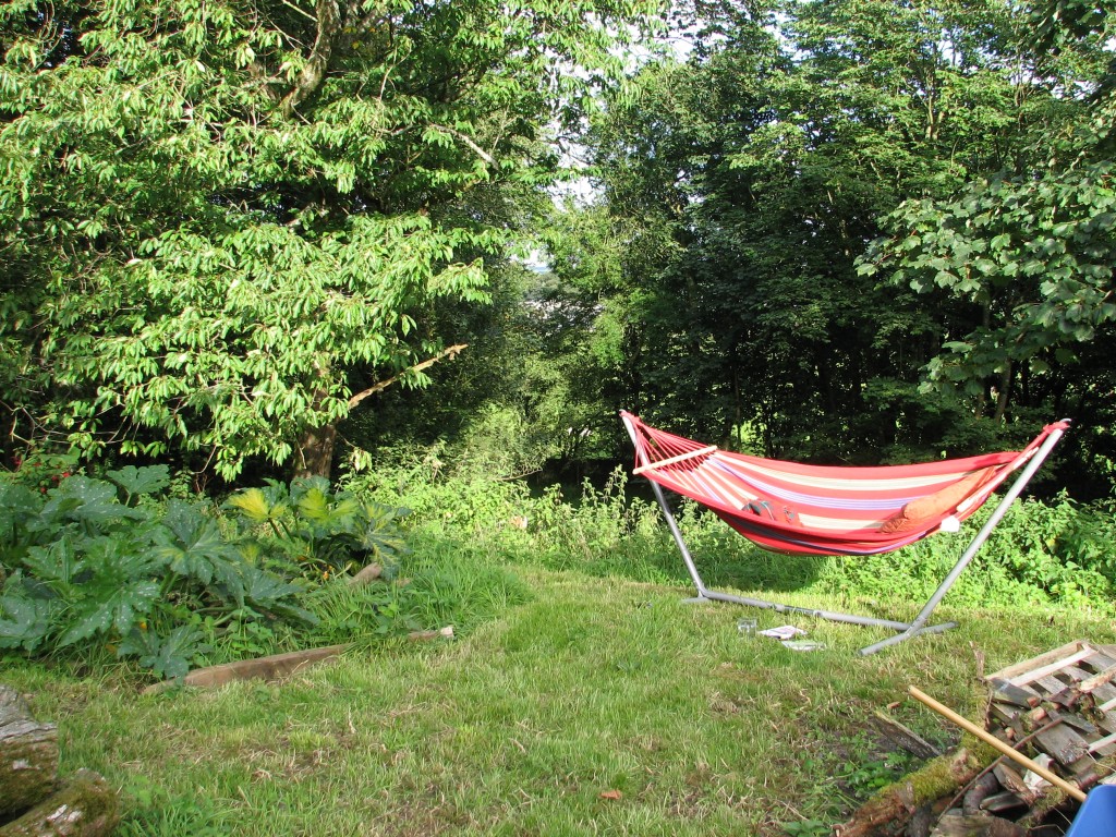 But let's not pretend it's all hard work. The hammock found a new spot from where I could look down the bank to our "dappled glade" and across to the tree nursery. 