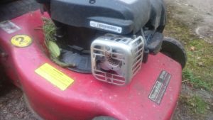 Trusty mower: the motor cage has now fallen off completely (courtesy of the bolts holding it in shaking out) but the machine still goes like the (very slow) clappers